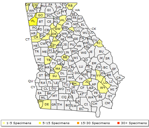 The native range of Acer saccharinum